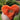 FLOOFERS® sansehjerte